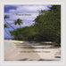 Tropical Breeze