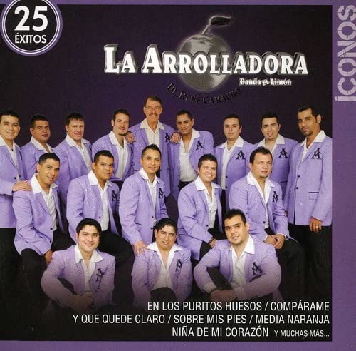 Iconos / 25 Exitos