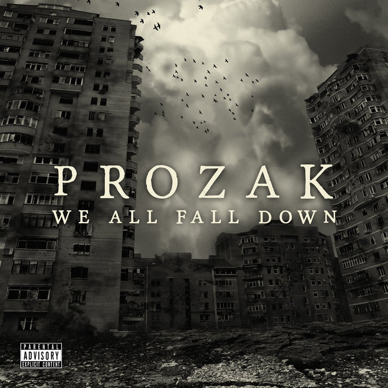 We All Fall Down  explicit_lyrics