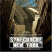 Synecdoche New York