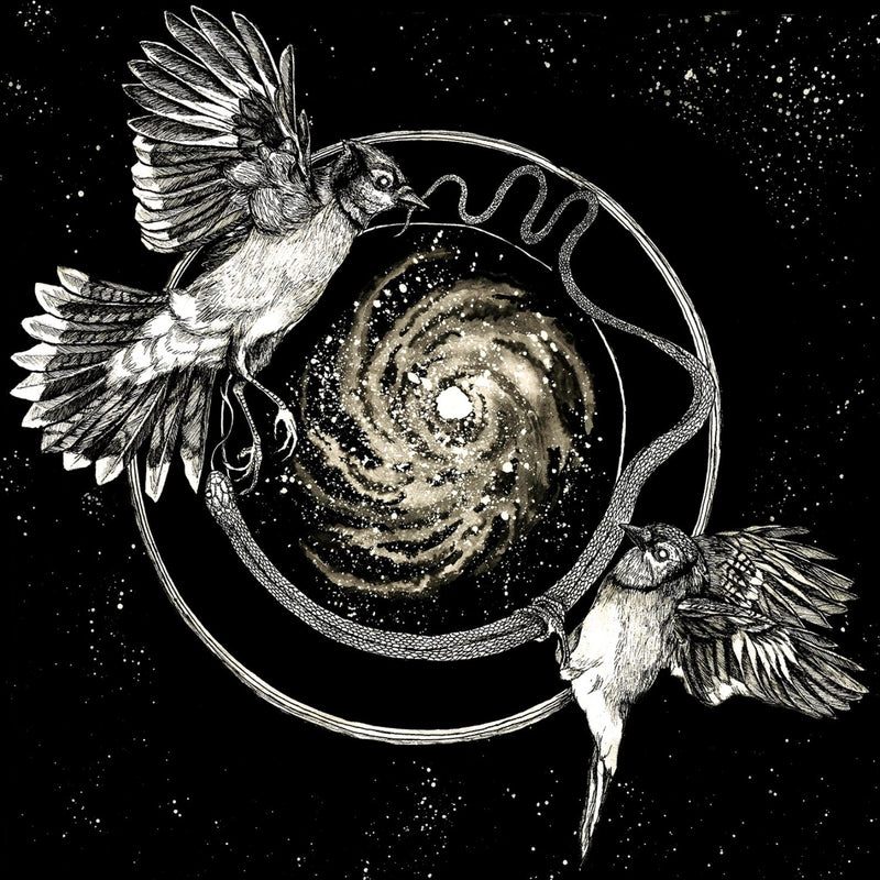Vattnet Viskar-Sky Swallower