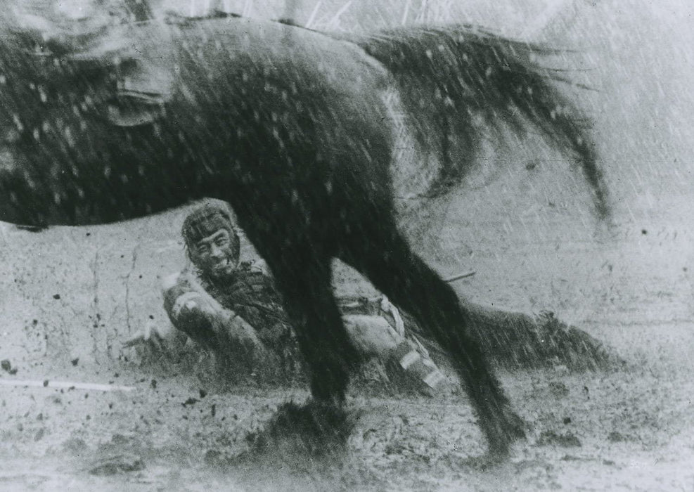 Criterion Collection: Seven Samurai