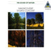 Natural Sound: THE SOUND OF NATURE
