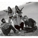 War Elephant (Reis