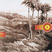 Cuban Invocations / Various