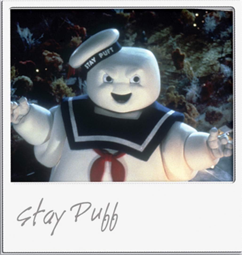 Ghostbusters (Widescreen Edition)