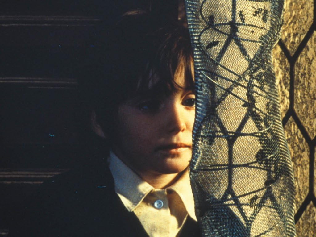 The Spirit of the Beehive (Criterion Collection)