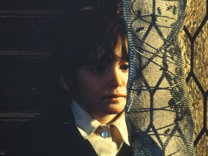 The Spirit of the Beehive (Criterion Collection)