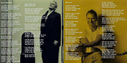 Sting - Brand New Day