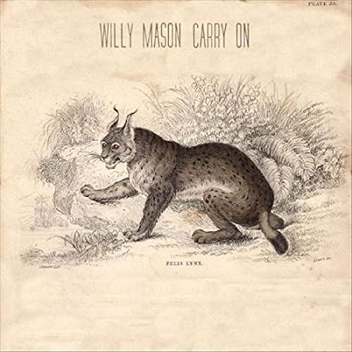 Carry on