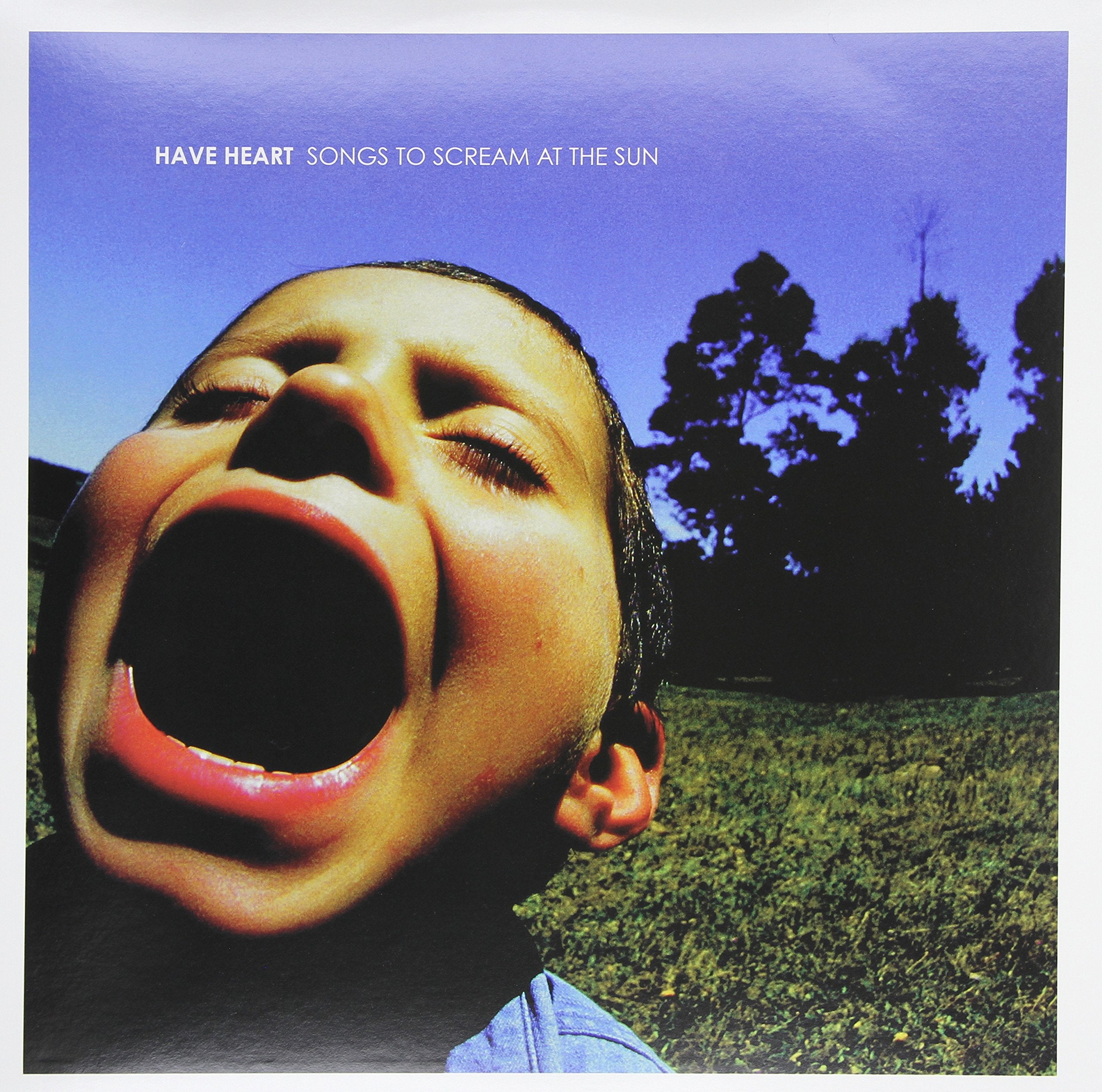 Songs to Scream at the Sun