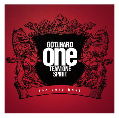 One Team One Spirit