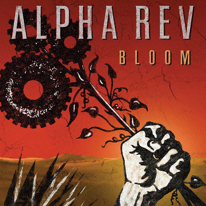 Bloom