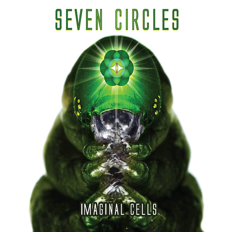 Imaginal Cells