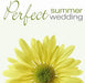 Perfect Wedding: Summer