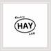 Electric Hay Live