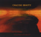 Chasing Beauty