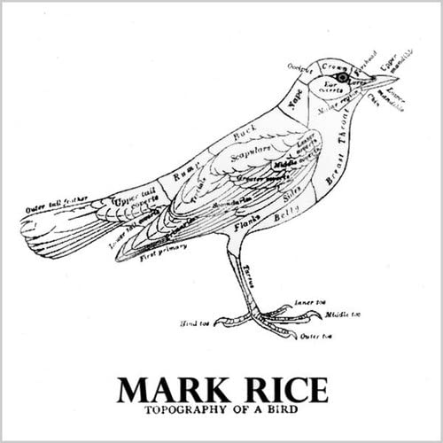 Topography of a Bird