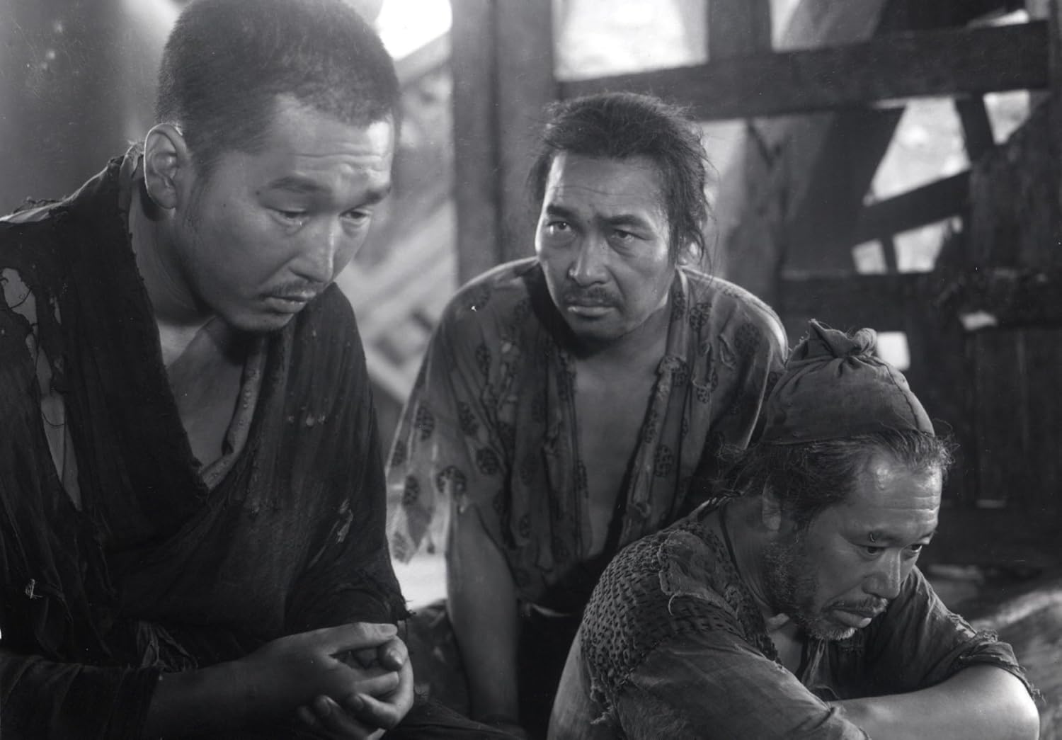 Criterion Collection: Rashomon
