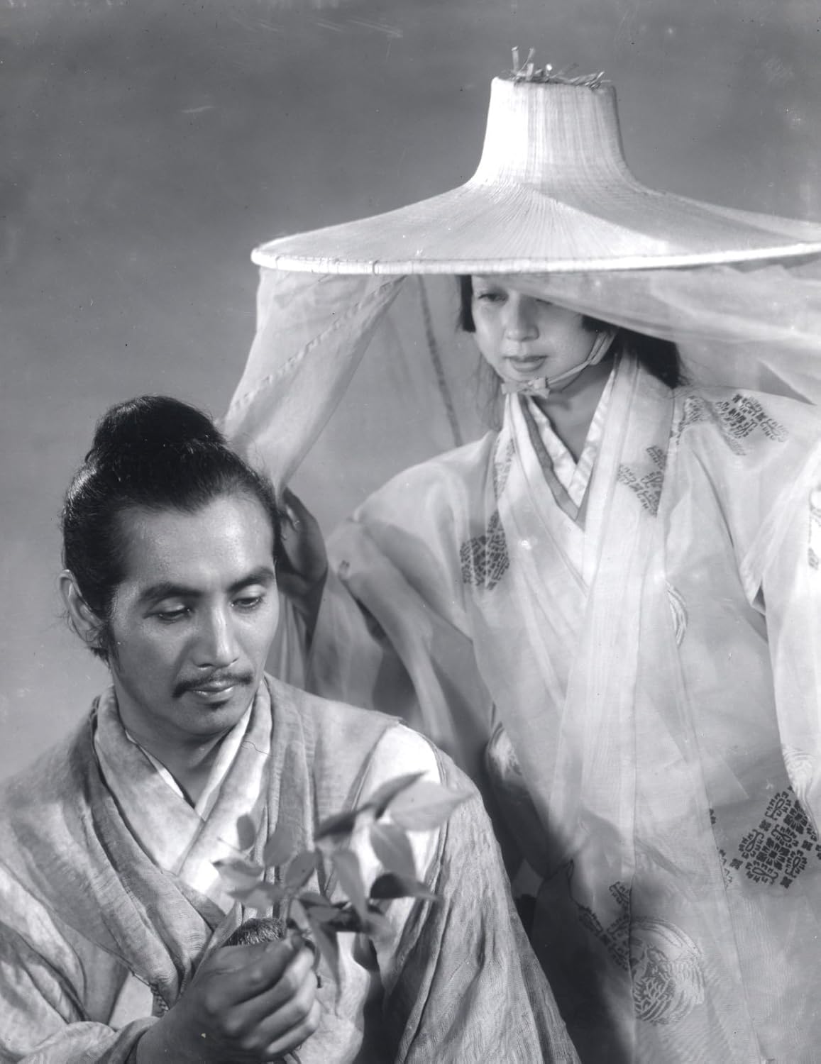 Criterion Collection: Rashomon