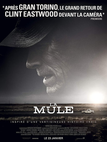 La mule DVD NEUF