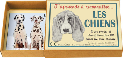 Marcvidal Marcvidal477 Learn to Recognize Dogs, Multi-Color