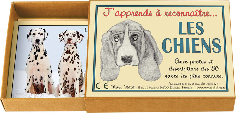 Marcvidal Marcvidal477 Learn to Recognize Dogs, Multi-Color