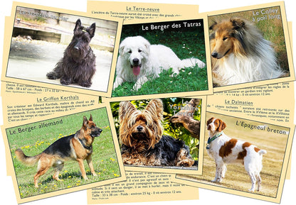 Marcvidal Marcvidal477 Learn to Recognize Dogs, Multi-Color