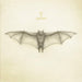 White Bat