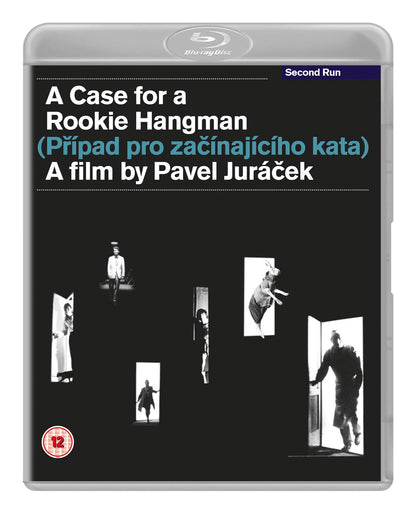 A Case for a Rookie Hangman