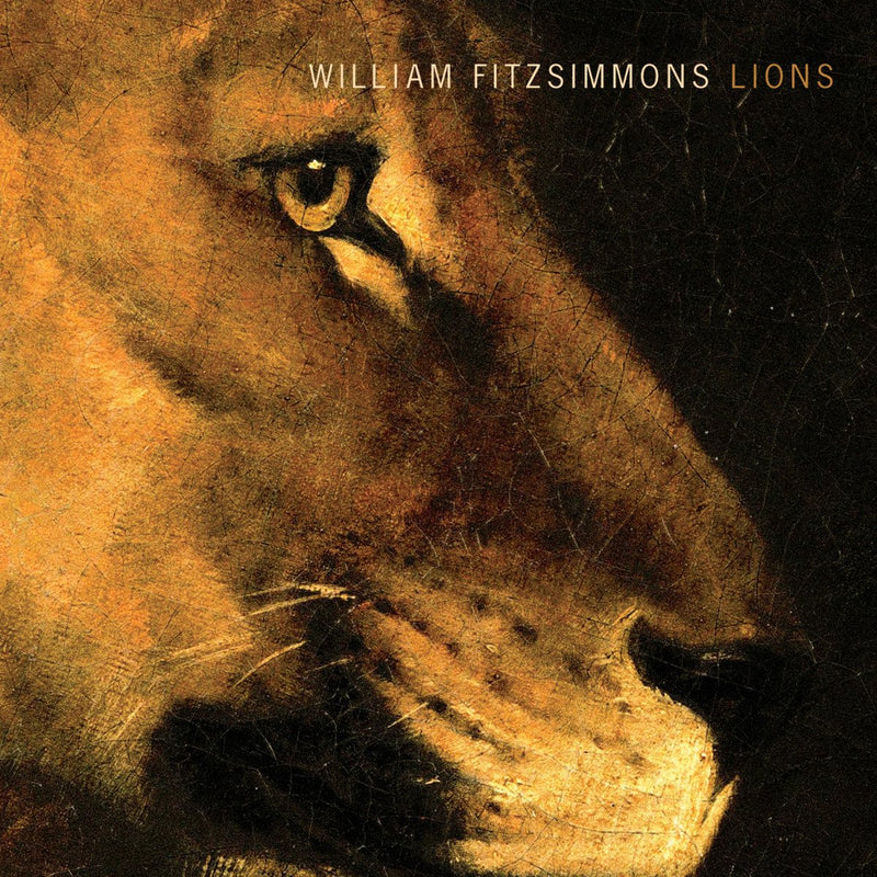 Lp-William Fitzsimmons-Lions