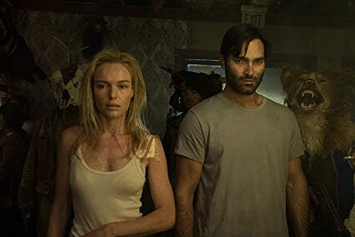 THE DOMESTICS - MOVIE