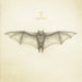 White bat