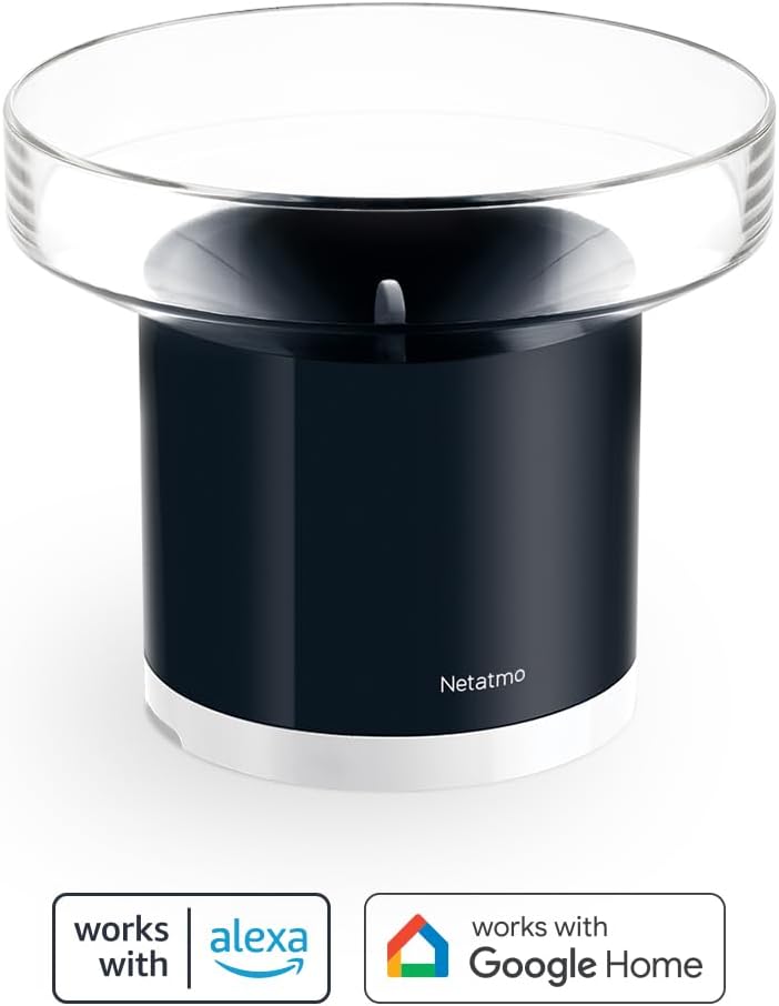 NETATMO Regenmesser