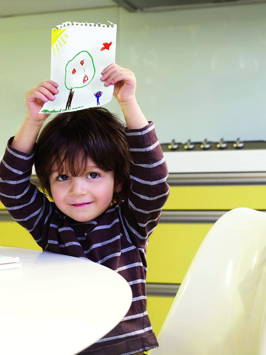 Lamy Plus 1226068 12 Colouring Pencils in Fabric Roll, Green