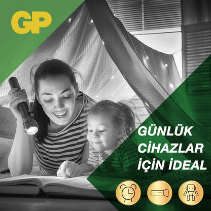 GP Batterien Super Mono D