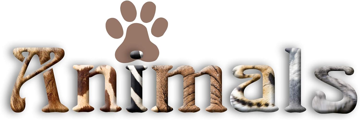 HERMA Lever Arch File Animals with Cats Motif, A4, 70 mm Spine, with Inner Print, 1 Folder