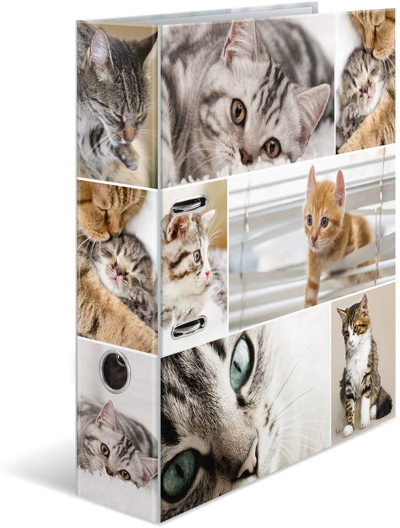 HERMA Lever Arch File Animals with Cats Motif, A4, 70 mm Spine, with Inner Print, 1 Folder
