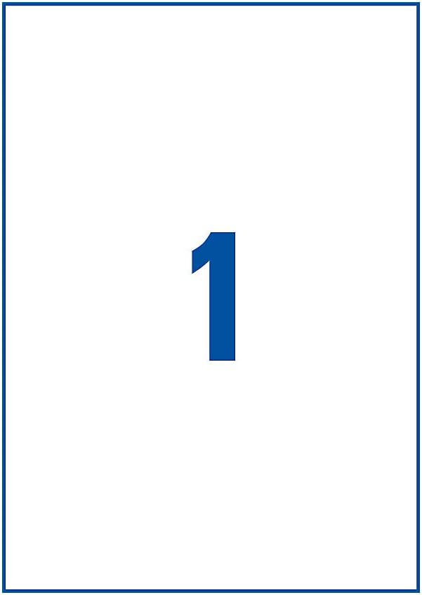 AVERY Zweckform L7917-10 Strapazierfähige Folienetiketten (10 Aufkleber, 210x297mm auf A4, extrem stark selbstklebend, für schwierige Oberflächen, bedruckbare Outdoor Klebefolie) 10 Blatt, weiß
