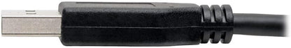 Tripp Lite USB 3.1 Gen 1 Cable 5 Gbps USB-C to USB-A, Type-C, Thunderbolt 3, (M/M), 1.83 m (U428-006
