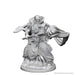 Dungeons & Dragons WZK72618 Accessories