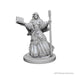 WizKids WZK72619 Accessories