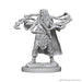 Dungeons & Dragons Nolzur's Marvelous Unpainted Miniatures Human Male Sorcerer