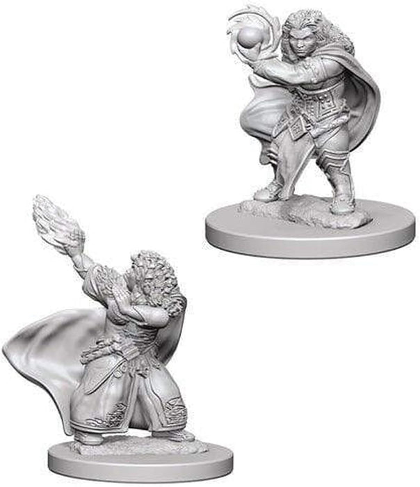 D&D Nolzur's Marvelous Unpainted Miniatures (W5) Dwarf Male Paladin