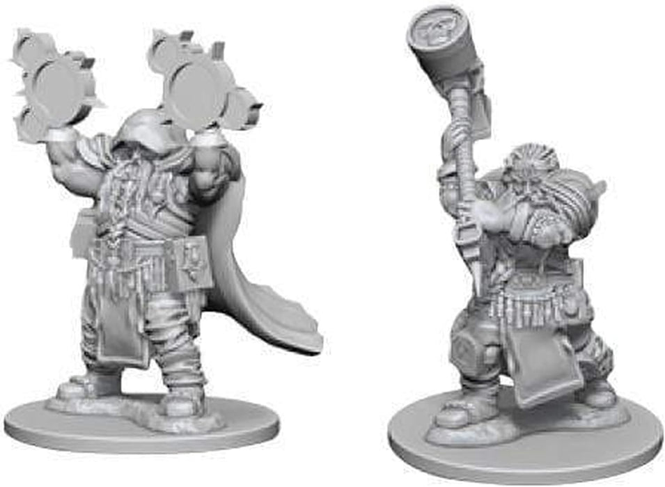 D&D Nolzur's Marvelous Unpainted Miniatures (W5) Dwarf Male Paladin