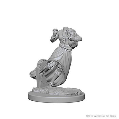 NECA D&D: Nolzur`s Marvelous Miniatures - Ghost & Banshee