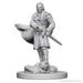 D&D Unpainted Miniatures: Vampires