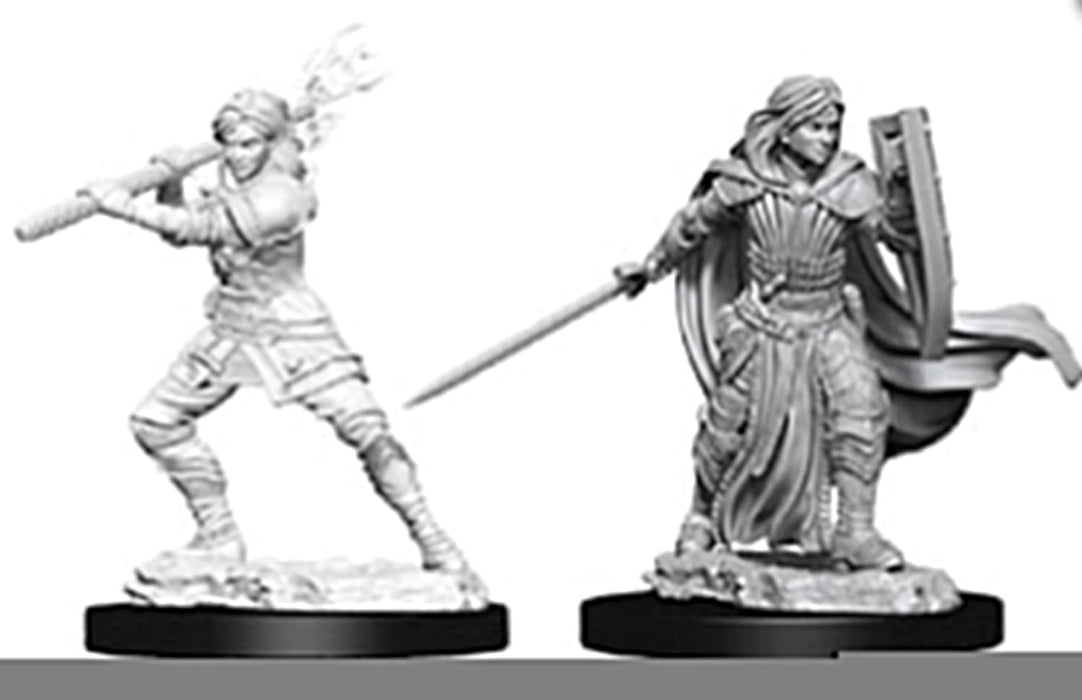 D&D Nolzur's Marvelous Miniatures: Male Human Druid