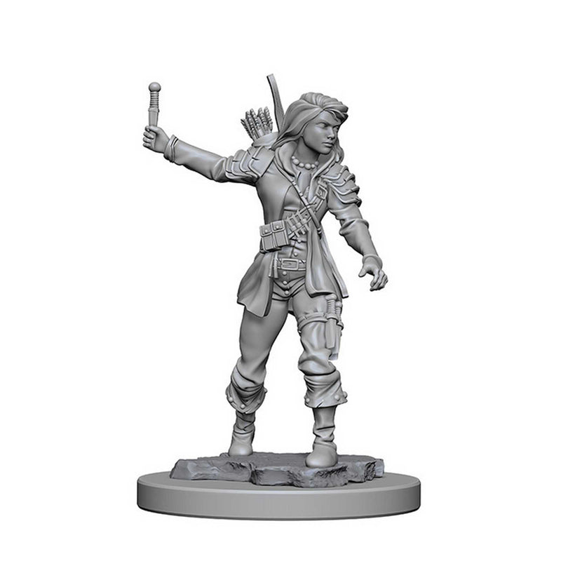 Pathfinder Deep Cuts Unpainted Miniatures: Human Female Rogue