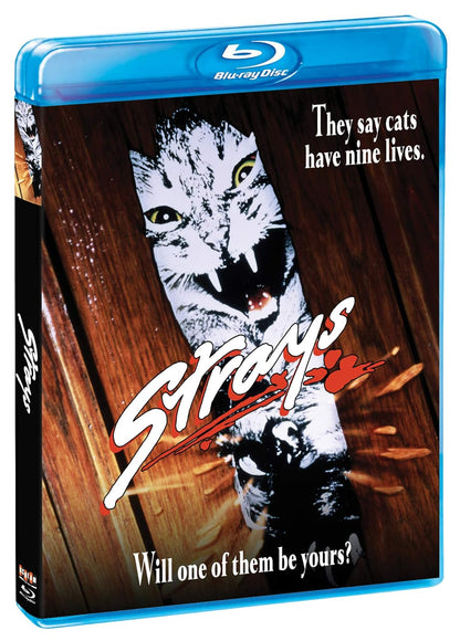 Strays (1991)